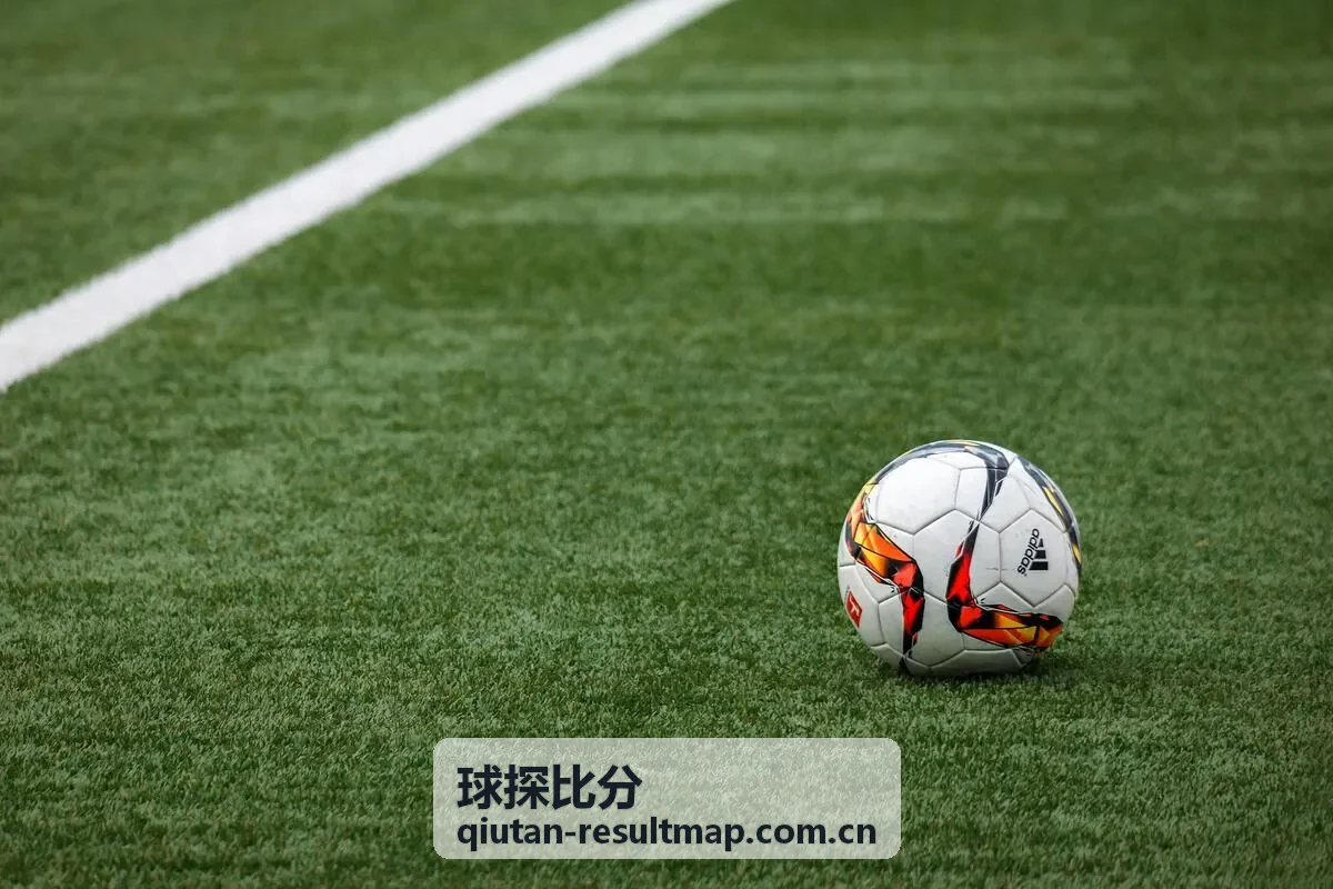 球探比分数据报告赛果分析图表示例